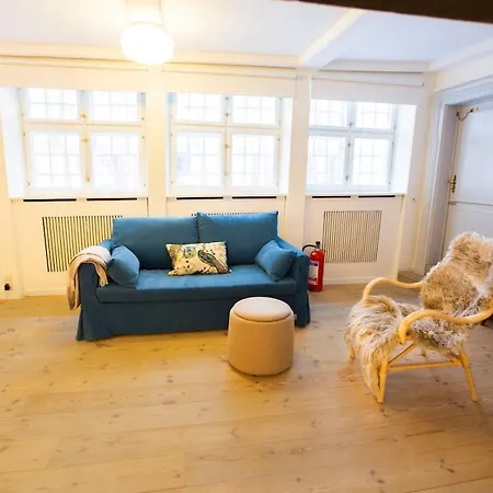 Apartament 175 Sqm Manor In Nyhavn I 6 Prs Rare Luxury Kopenhaga